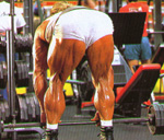 Hamstrings